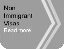 US Nonimmigrant Visas